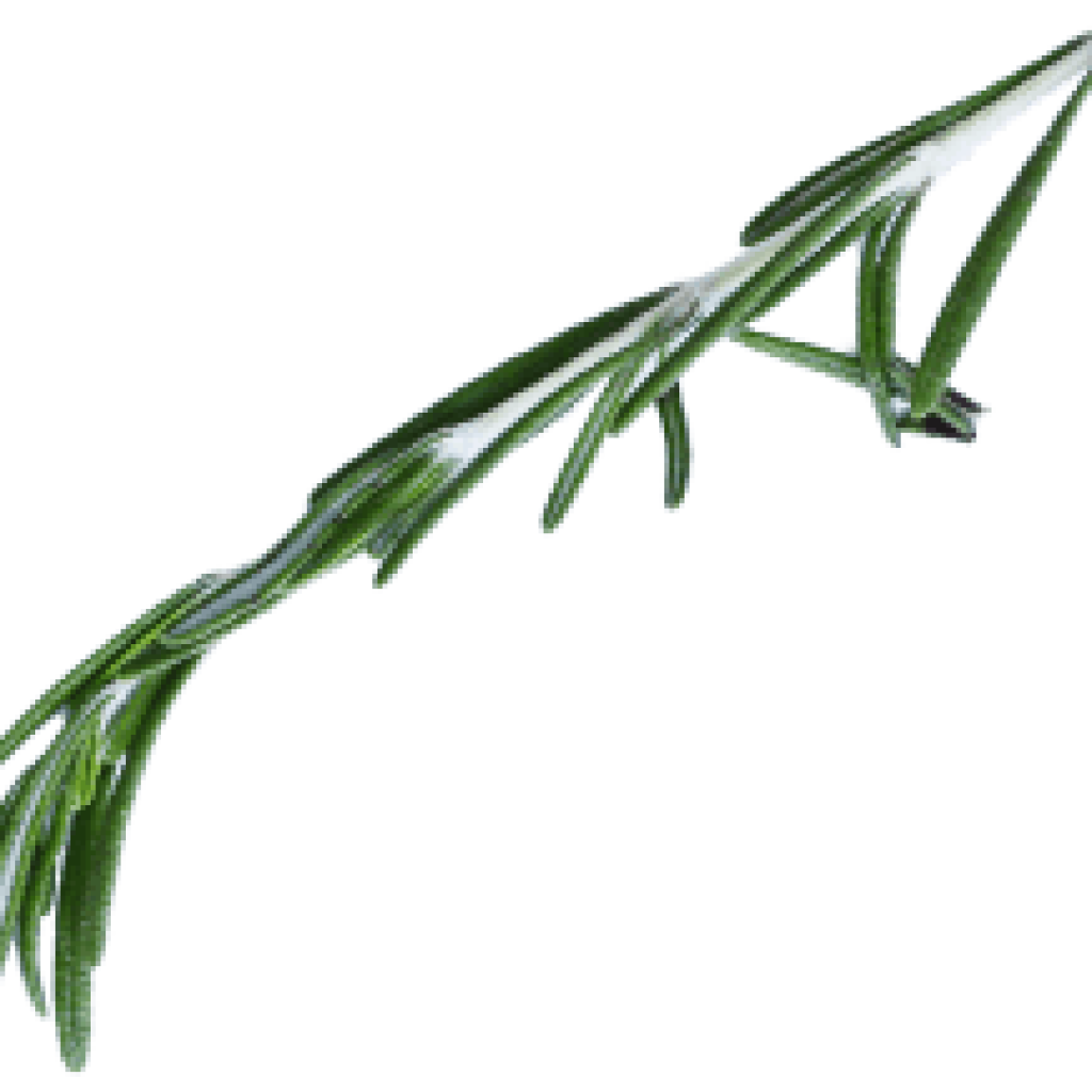 demo-attachment-53-2348