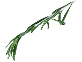 demo-attachment-53-2348